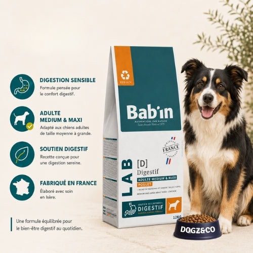Babin - Lab Digest Poulet