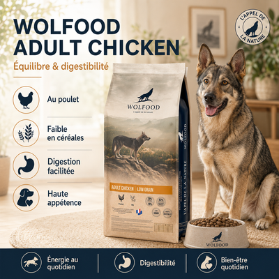Wolfood - Adulte Poulet