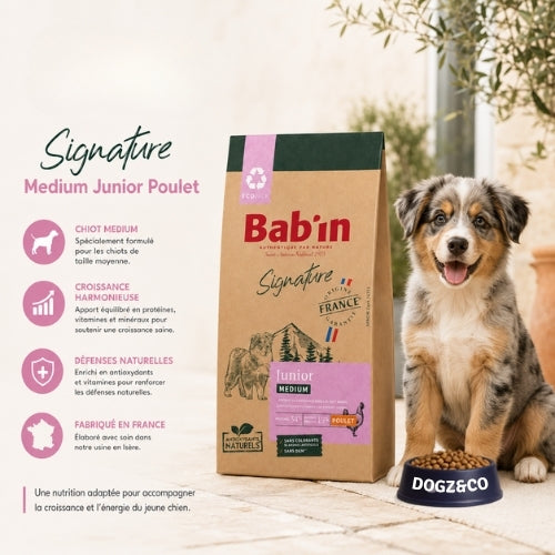 Babin - Medium Junior Poulet