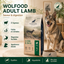 Wolfood - Agneau & Riz
